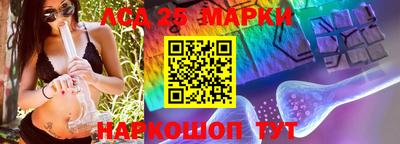 мяу мяу мука Новокубанск