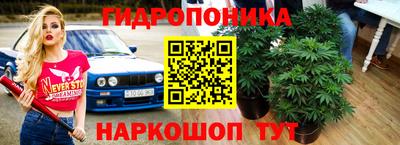 эйфоретик Новодвинск