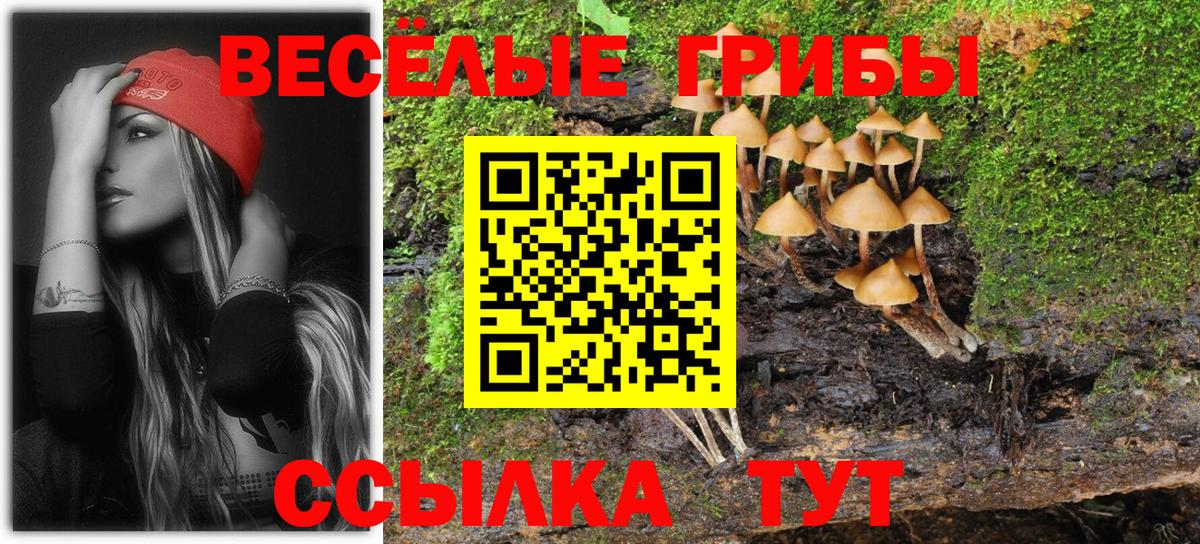 Галлюциногенные грибы мицелий  Вход с VPN  Югорск 