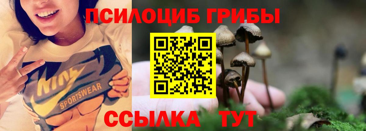 Псилоцибиновые грибы ЛСД Югорск
